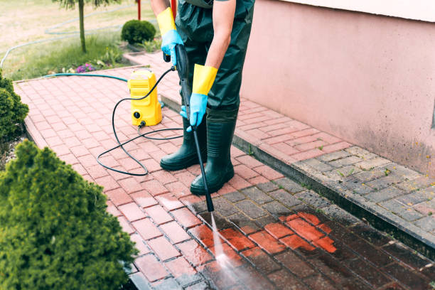 Best Dumpster Area Cleaning  in Kentland, IN