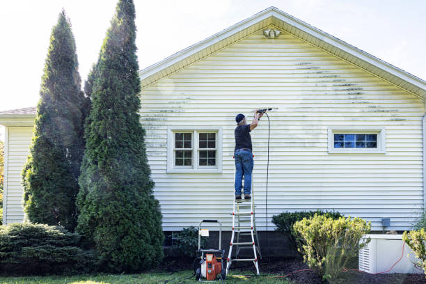 Best Fence Cleaning  in Kentland, IN
